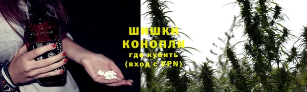 ПСИЛОЦИБИНОВЫЕ ГРИБЫ Покачи