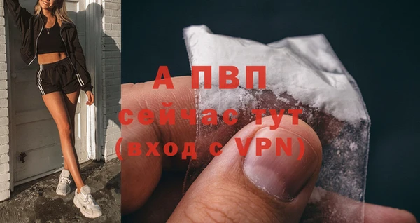 ПСИЛОЦИБИНОВЫЕ ГРИБЫ Покачи