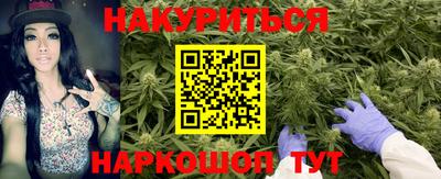 сатива Комсомольск-на-Амуре