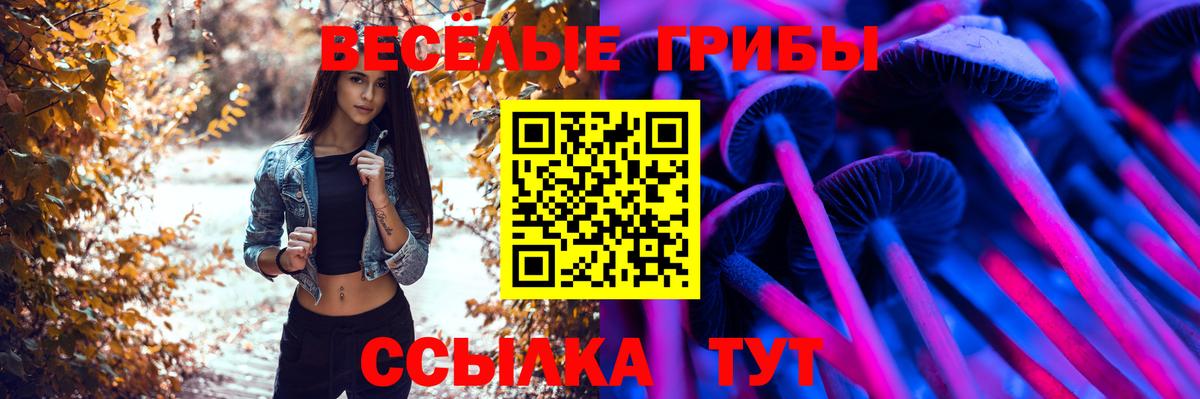 Псилоцибиновые грибы Psilocybe Саянск